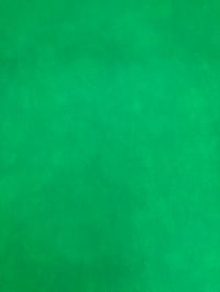 Image 4 of TNT - Tejido No Tejido - Verde - 3€/m