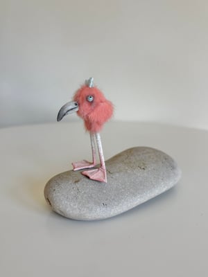 Image of Very Tiny Flamingo Baby