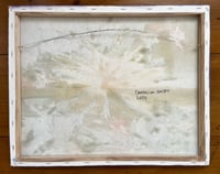Image 5 of Dandelion Sunset