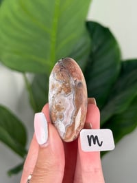 Image 13 of SMALL SANGRIA LACE AGATE SHIVAS