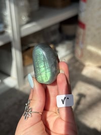 Image 22 of CHOOSE YOUR OWN MINI LABRADORITE FREEFORM -MADAGASCAR-