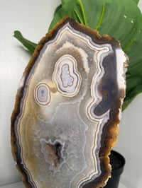 Image 4 of DOUBLE SIDED BANDED AGATE SLICE -BRAZIL- A