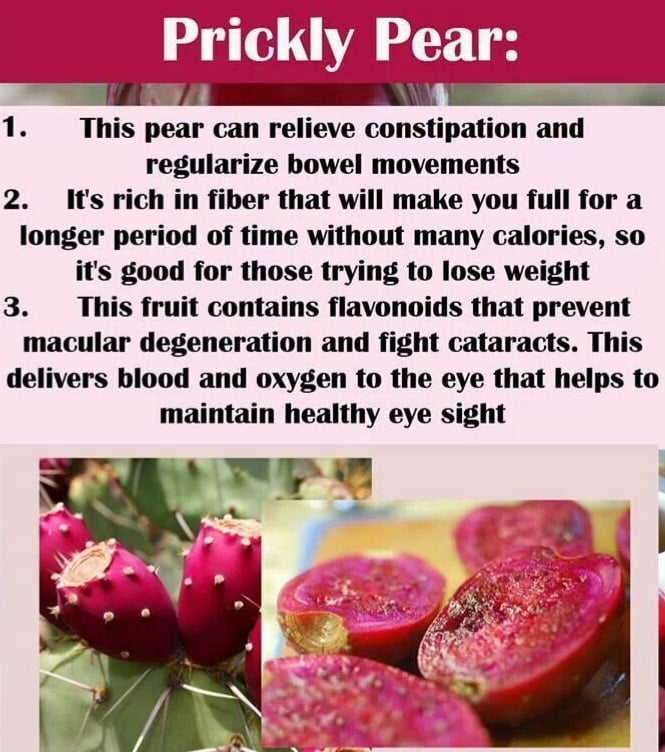 Prickly Pear/Dragon Fruit/Nopales. Prebiotic-Diabetes-Heavy Metals-Cell Repair-Diabetes-Serotonin
