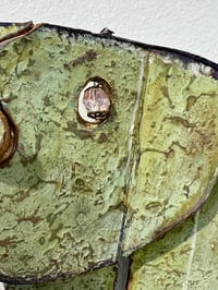 Image 7 of Luna Moth- Jil Johnson