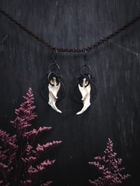 Image 4 of mandible hoops