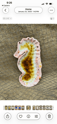 Image 1 of Fused Glass Ceramic Seahorse