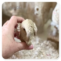 Image 5 of Handmade beige flat elephant with "button wheels"