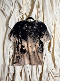 Image 2 of The simplified 