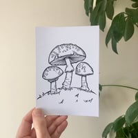 Image 5 of Mushroom Postcard Print - set of 4