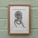 Image 1 of £50 originals - imaginary cephalopod, pointillism