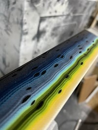 Image 8 of Steelhead by Mikie
