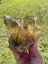 Image 13 of Smoky Citrine Points Cluster #1877
