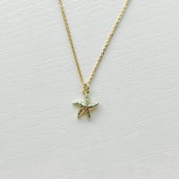 Image 2 of STARFISH