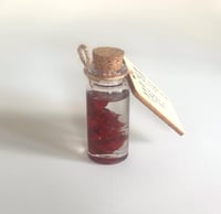 Image 2 of Paint Artefact from Studio - Permanent Alizarin Crimson