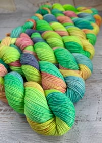 Image 2 of Spring Splash