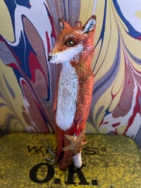 Image 5 of Scout the fox