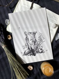 Pumpkin the Fox A4 Print