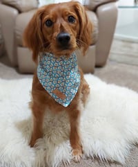 Image 2 of Bacon & Eggs - Pet Bandana 