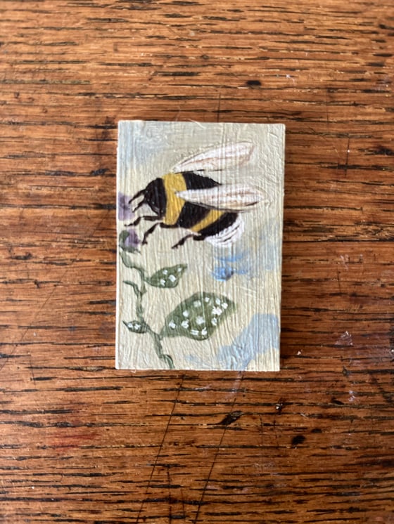 Image of Buff tailed bumblebee in flight. 