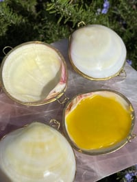 Image 4 of sea shell salve 