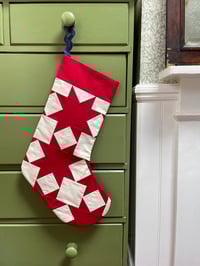 Image 5 of Aster Stocking