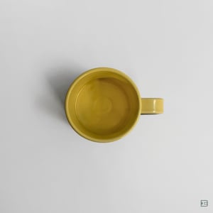 Katsushi Shimabukuro mug cup No.299