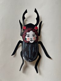 Image 2 of LADYBugs Fancy Beetles