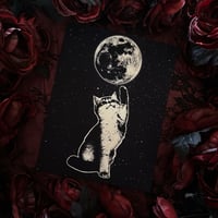 Midnight Familiar Print