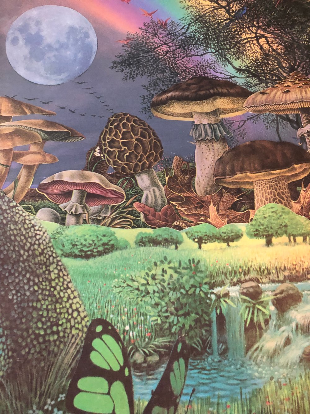 Mushroom paradise poster 