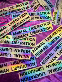 Image 2 of Animal Liberation Human Liberation vegan sticker
