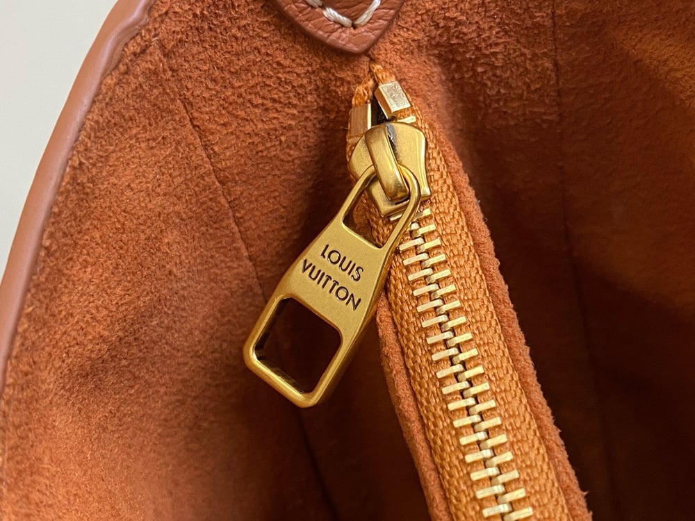 LV Hobo Bag