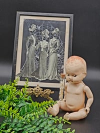 Image 1 of VICTORIAN SQUID GAMES - Faceless Ladies With A Twist - Real Preserved Web 