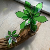 Image 2 of Wire Base Succulents
