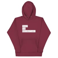 Image 3 of TRUST THE REDIRECTION - UNISEX HOODIE (VARIOUS COLORS)