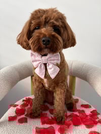 Image 5 of CUPID PINK SAILOR BOW