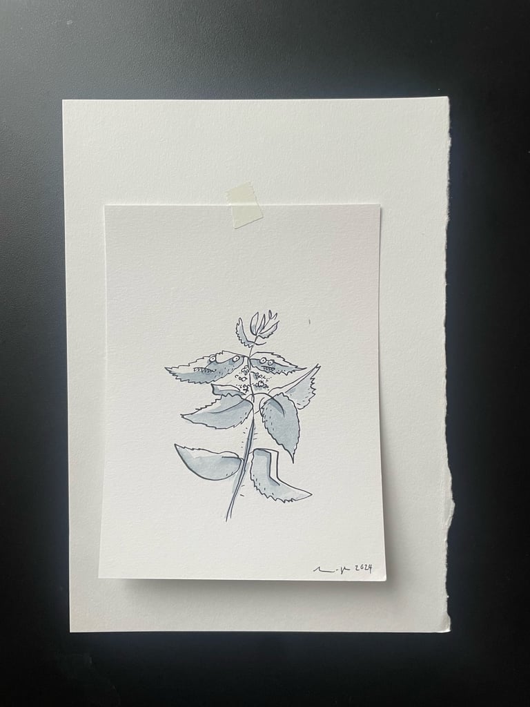 Originalzeichnung Tusche und Aquarell auf Papier  "Brennessel"