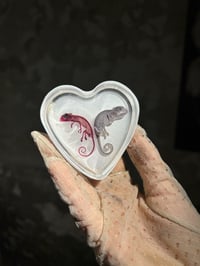 Image 3 of Diaphonized and fixed chameleons in resin hearts 