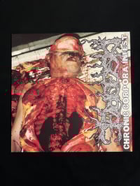 Image 1 of DISGORGE - “Chronic Corpora Infest”