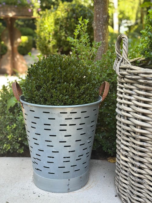 Image of Vintage Turkish Olive Bucket 