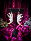 Muskrat Jaw Bone - Earrings 