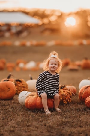 Image of Pumpkin Patch Minis