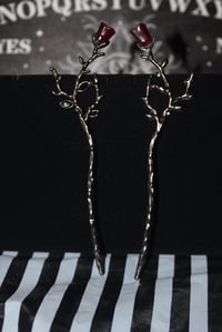 Stems