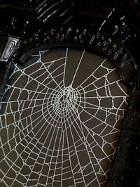 Image 3 of Gothic black ornate framed preserved web  2