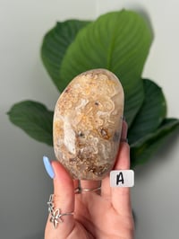 Image 2 of FLOWER AGATE FREEFORMS 