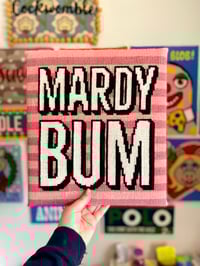 Image 1 of Mardy Bum needlepoint kit 