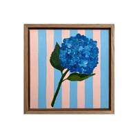STRIPED HYDRANGEA