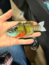 Blue Collar Gill BNA_Customs Paint Male Gill Glide Only