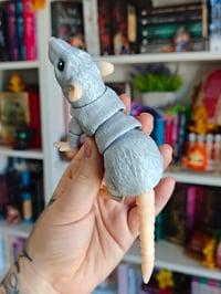 Image 4 of Rata gris claro 