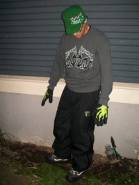 Image 4 of dragon reflection thermal 