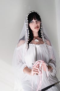 Image 3 of Sweet lamb 